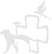 Logo Astragale alternatif